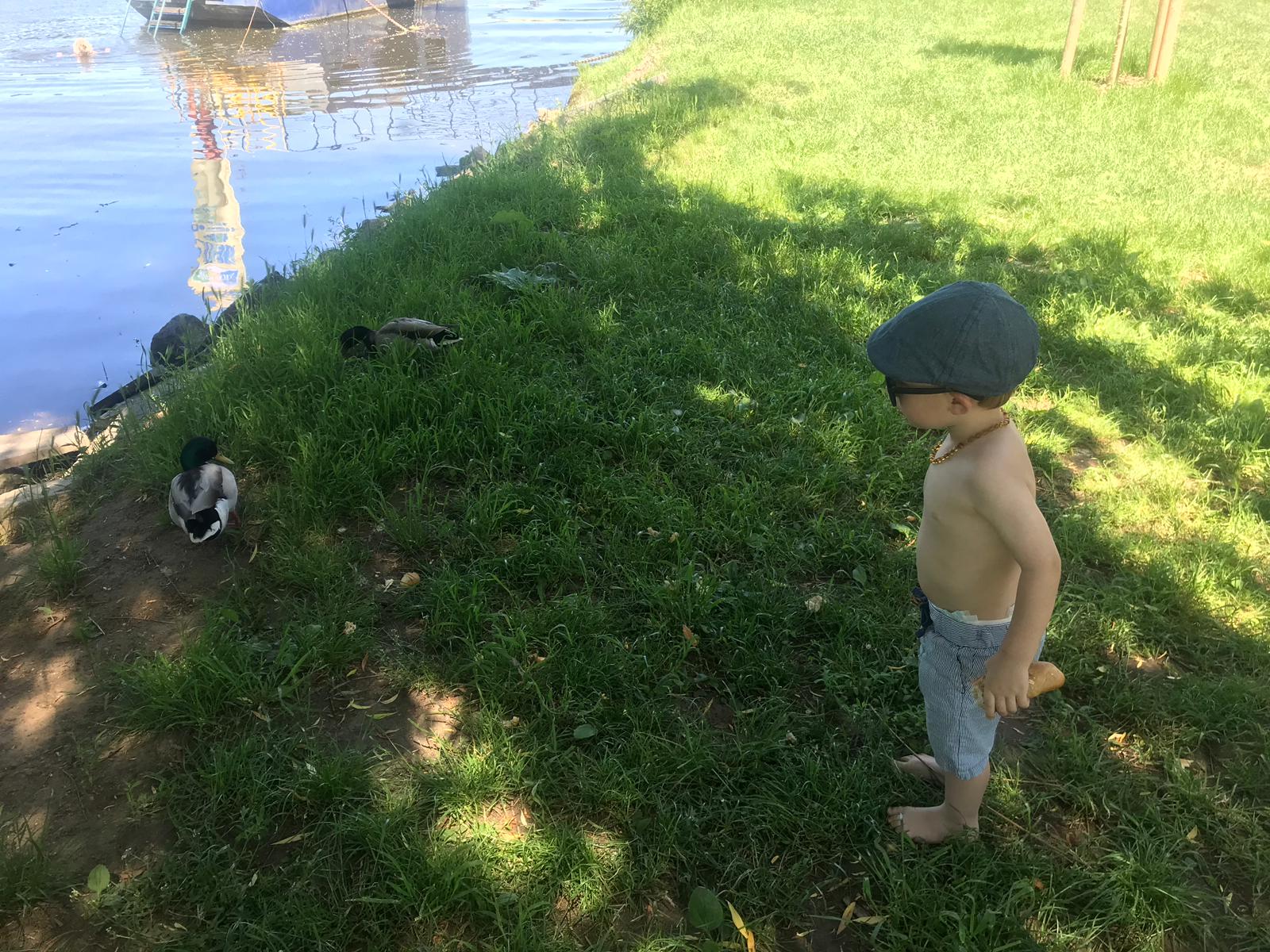 7cb47563-e564-4f07-a115-1bf6a0d5943f