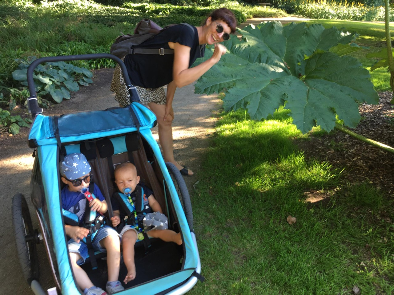 1161e6d1-f1c6-42e8-a878-f10993f52993